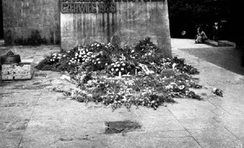 Kwiaty pod pomnikiem Czerwca 56