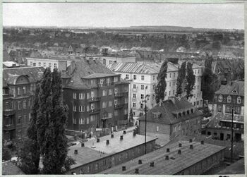 Widok na ulice Kochanowskiego z dachu ZUS