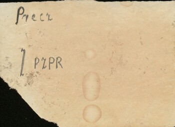 Białystok - ulotka Białystok - ulotka