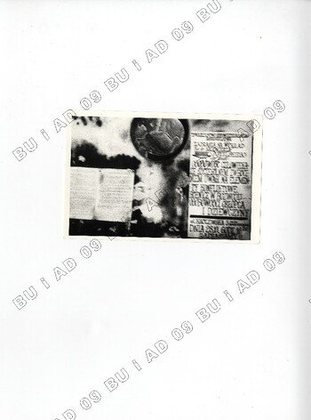 Plakaty sfotografowane przez SB w listopadzie 1981 r. na ul. Królewskiej w Lublinie