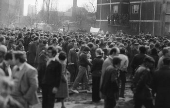 Manifestacja 1 maja 1982