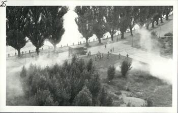 Manifestacje uliczne