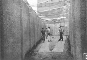 Widać - orły, skoro i z góry nakryli ich siatką. Powierzchnie spacernika wymierzają od lewej: Jan K. Kelus, Lech Dymarski, Jacek Kuroń, Jan Rulewski