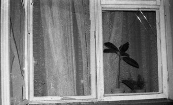 Akcja protestacyjna w Osrodku Odosobnienia w Kwidzynie 14 sierpnia 1982